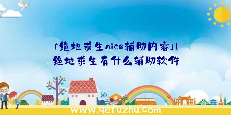 「绝地求生nice辅助内容」|绝地求生有什么辅助软件